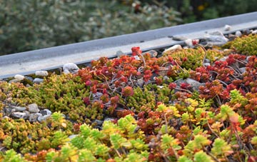the cost of North Ormesby green roof installation