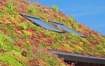 North Ormesby living roof systems
