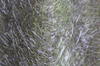 North Ormesby fibreglass roof work